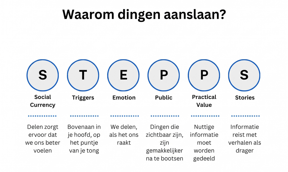de zes stappen van het STEPPS-model