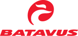 Batavus